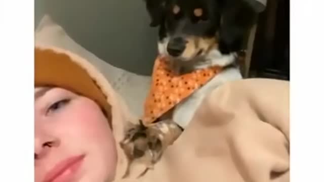 Well,, you can't say that she didn't deserve it .don't say no to your dog