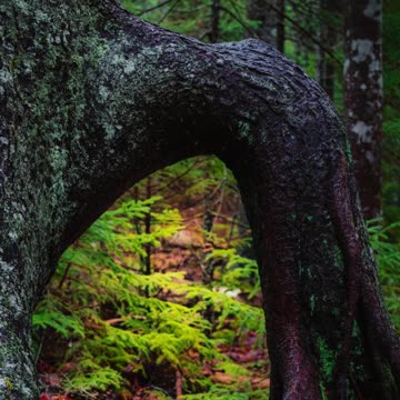 Buddha quote 2 #shorts #relaxing #music #quotes #motivation