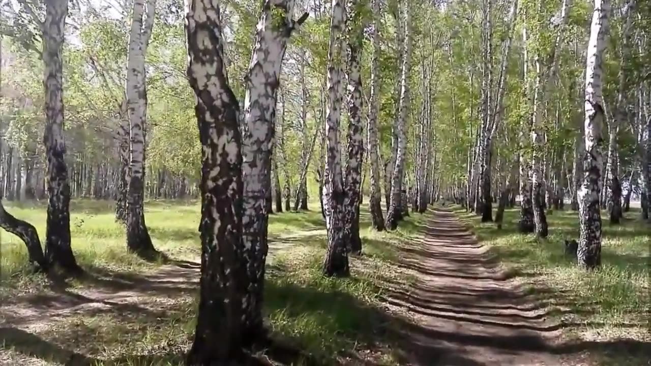 1 час И.С. Бах, активизация мышления, помощь в учебе 🧠 Да поможет нам Бах 🙏 Рекламы нет