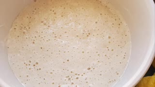 Learning Sourgough Baking