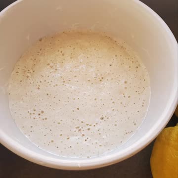 Learning Sourgough Baking