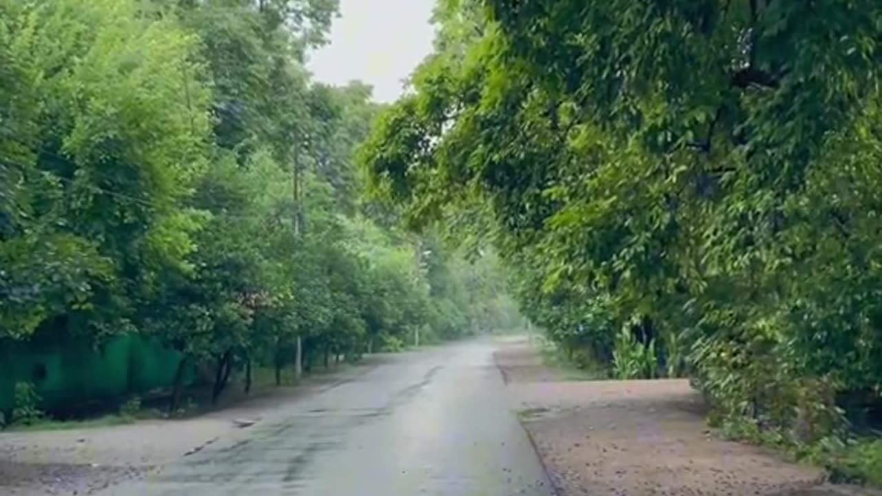 University of Peshawar