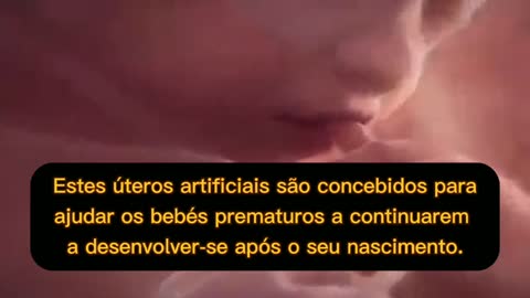 ⚠️INCUBADORAS PARA BEBÉS ARTIFICIAIS - BREVEMENTE UMA REALIDADE?⚠️