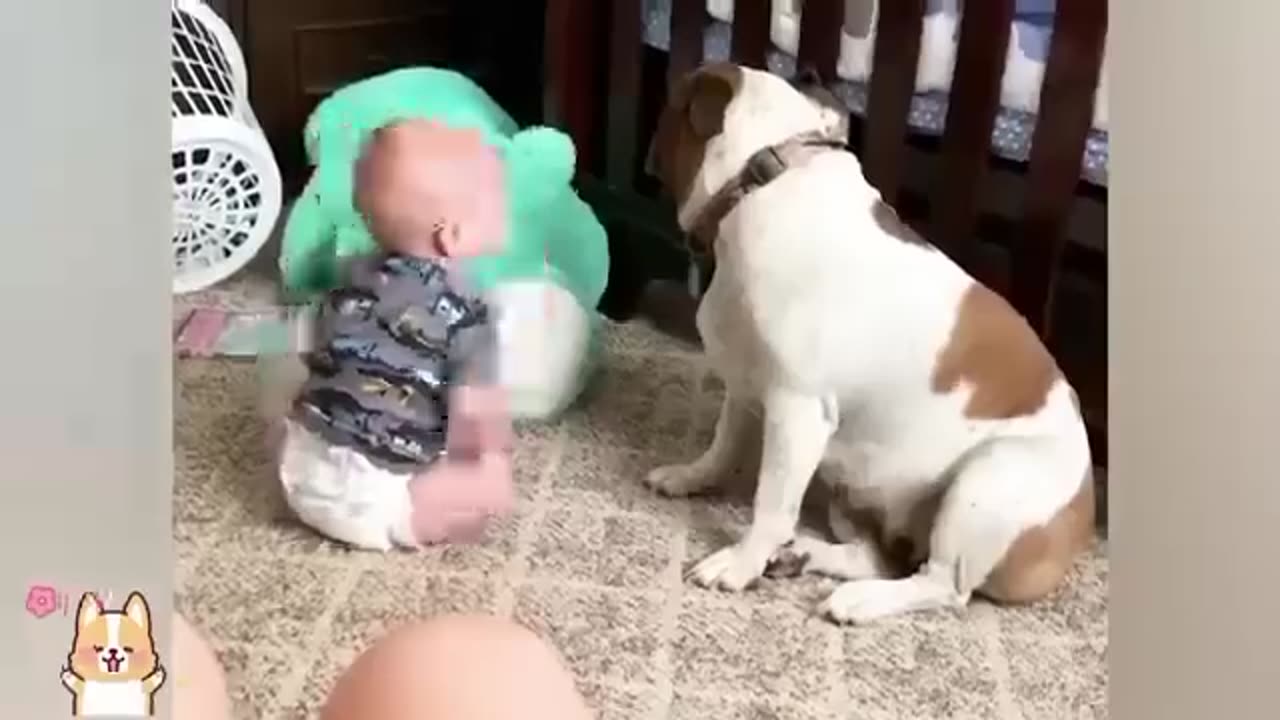 Part 1:Cute babies play with cute dog and cat.