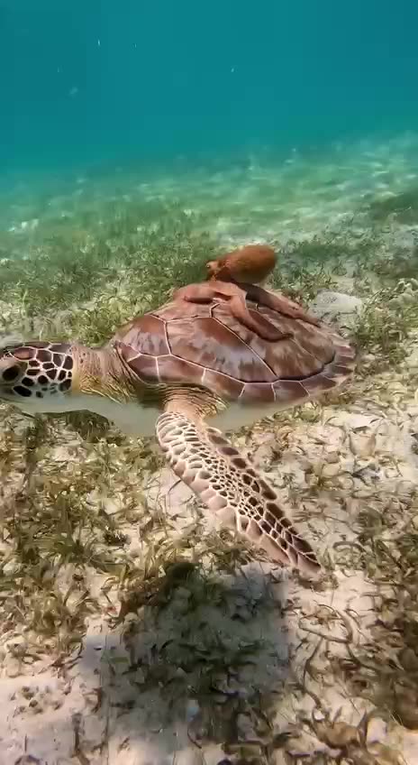 Hitching a ride 😊