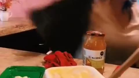 Scare Cam
