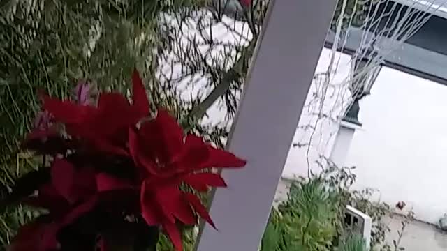 WHEN IT RAINS PART 2