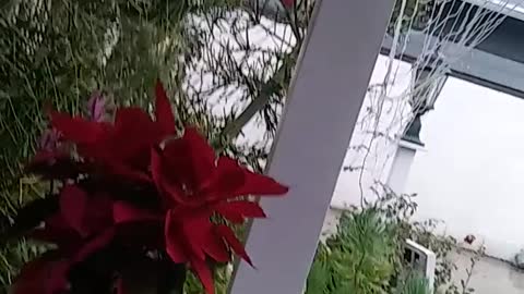 WHEN IT RAINS PART 2