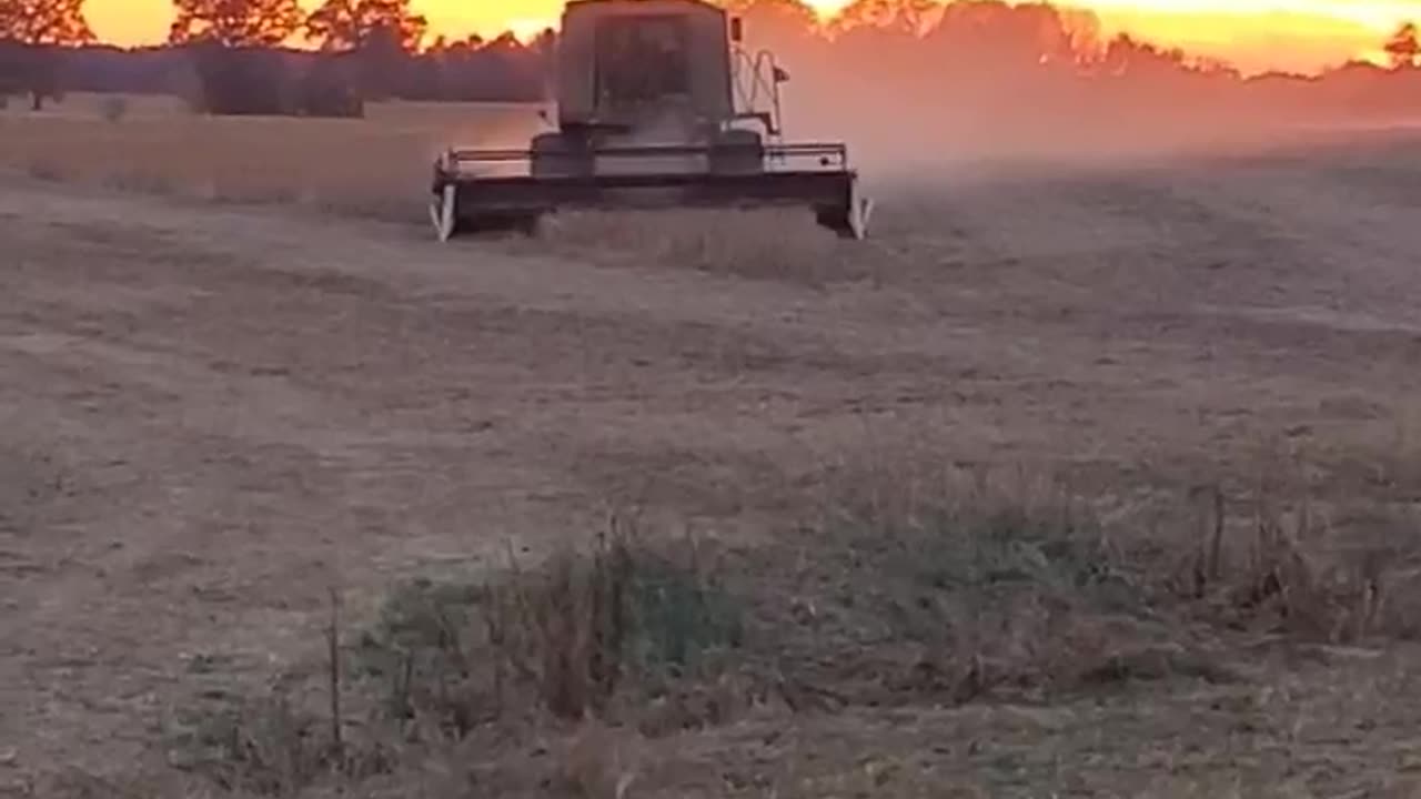 Soybean Harvest 2022: Getting ready to do some farming in the dark #harvest #johndeere