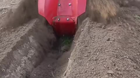 CRC vídeos curiosos