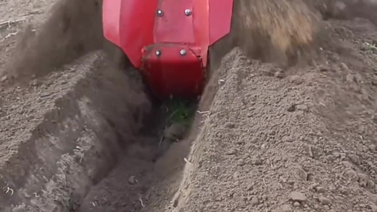 CRC vídeos curiosos