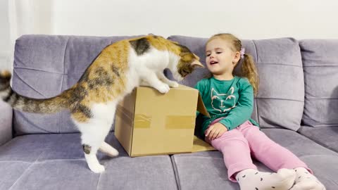 Funny Little Girl's Reaction to the Kitten in the Box!