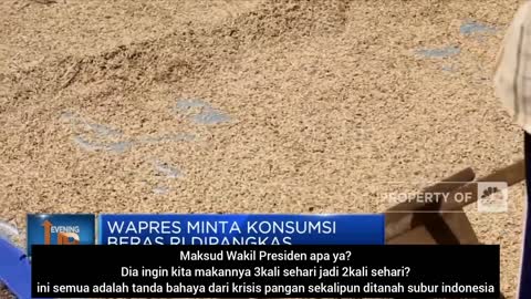 Krisis Beras Makin Gawat Wapres Ma'ruf Amin Minta Rakyat Kurangi Konsumsi