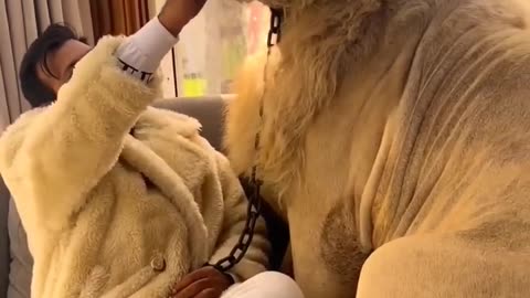 DUBAI LION KING VIRAL VIDEO TRENDING