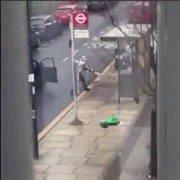 A British man removes a Palestinian flag in London causing a ladder fight