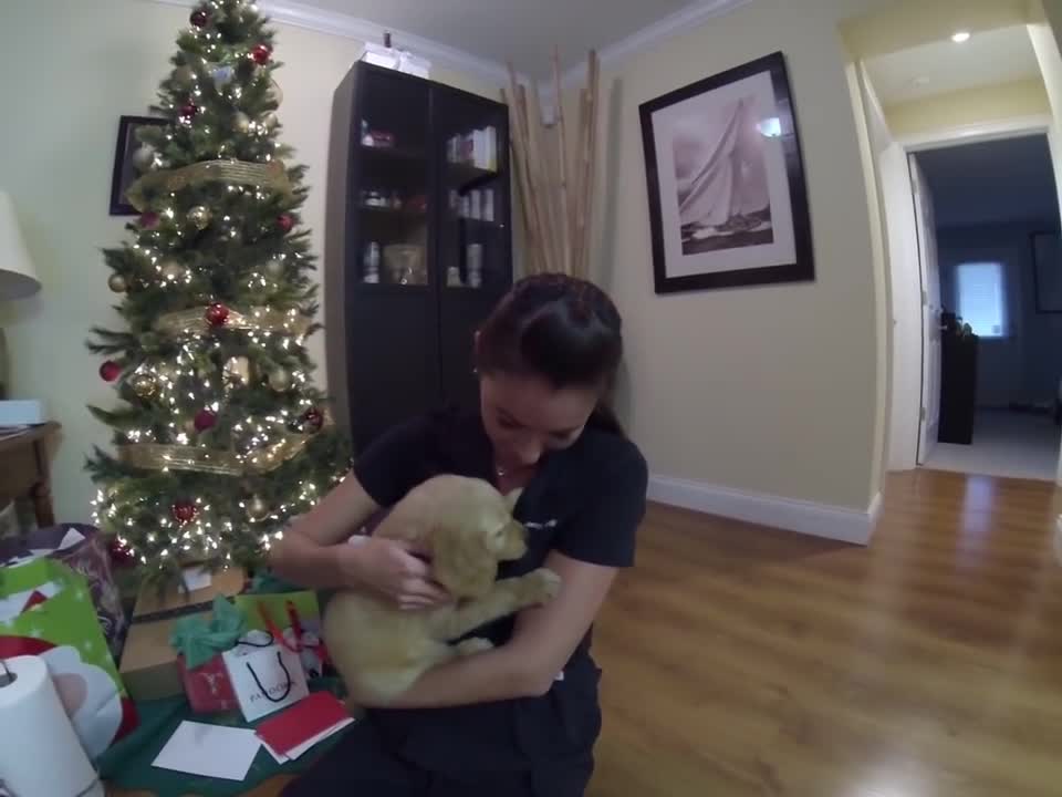 Surprised my wife with a golden retriever puppy for Christmas