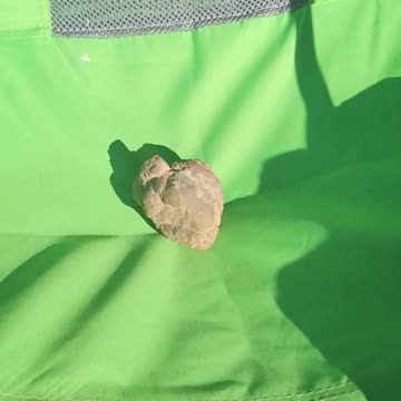 Flock it Farm: SHOCKING DISCOVERY: FOSSILIZED HUMAN HEART GEODE