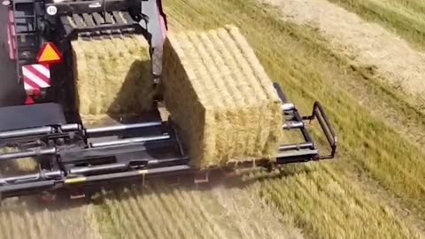 Agricultural equipment 🔥