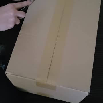 Whats in the box?