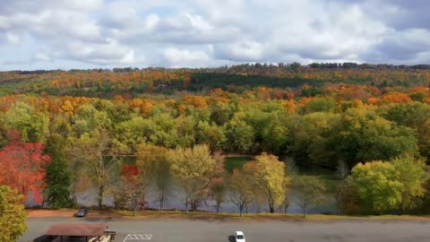 Enchanting Autumn Forests with Beautiful Piano Music