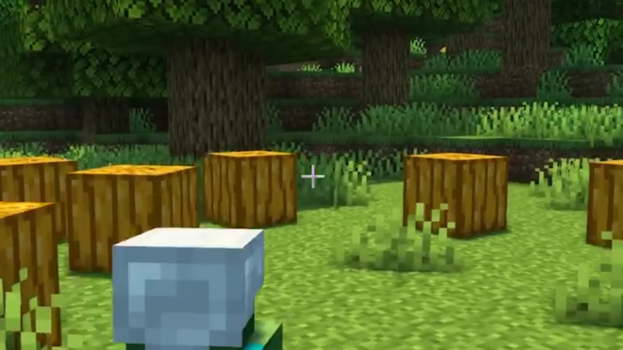 Minecraft Compilation
