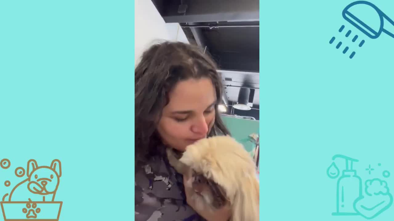 Groomers Getting Warm Cuddles from Sweet Dogs | Dog Grooming