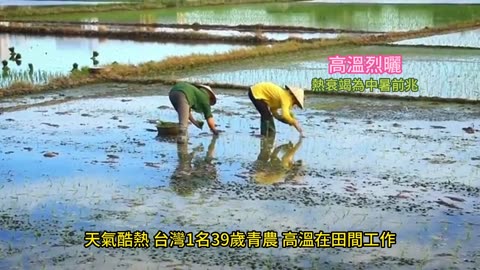 高溫烈曬 熱衰竭為中暑前兆