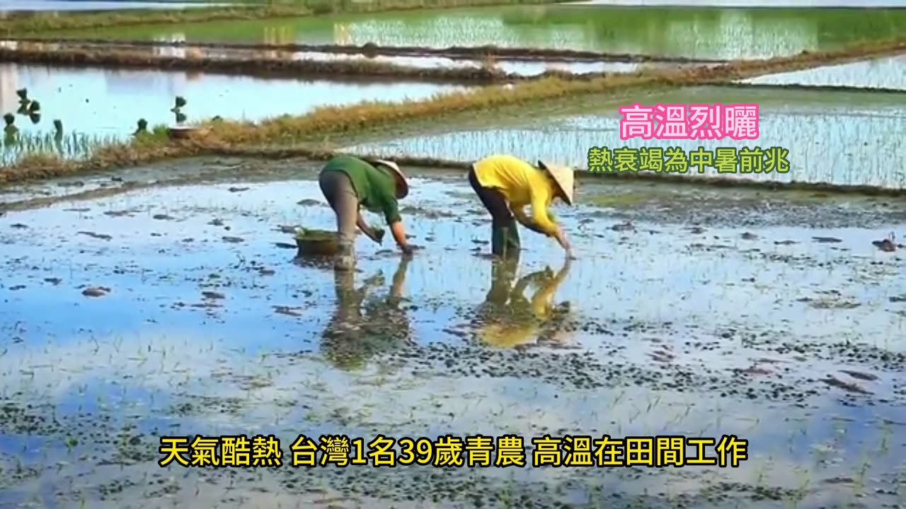 高溫烈曬 熱衰竭為中暑前兆