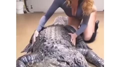 Sexy girl cuddling reptile | the girl adores animals