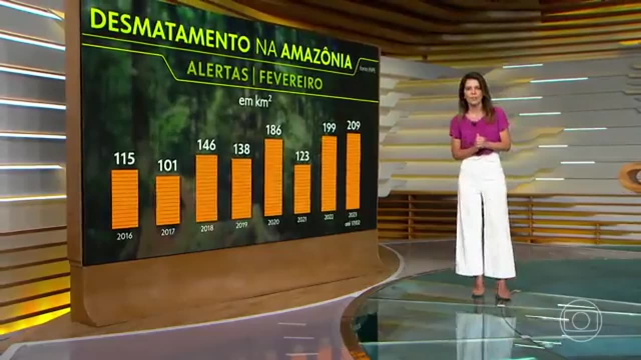 Alertas de desmatamento batem recorde para fevereiro — e o mês ainda não acabou