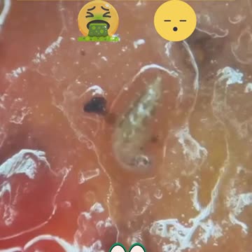 Strawberry Delight #shorts #short #shortvideo #viral #wtf #tiktok #lol #funny #gaming #instagram