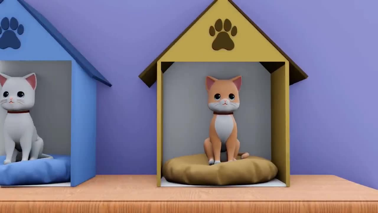 Cat's funny video