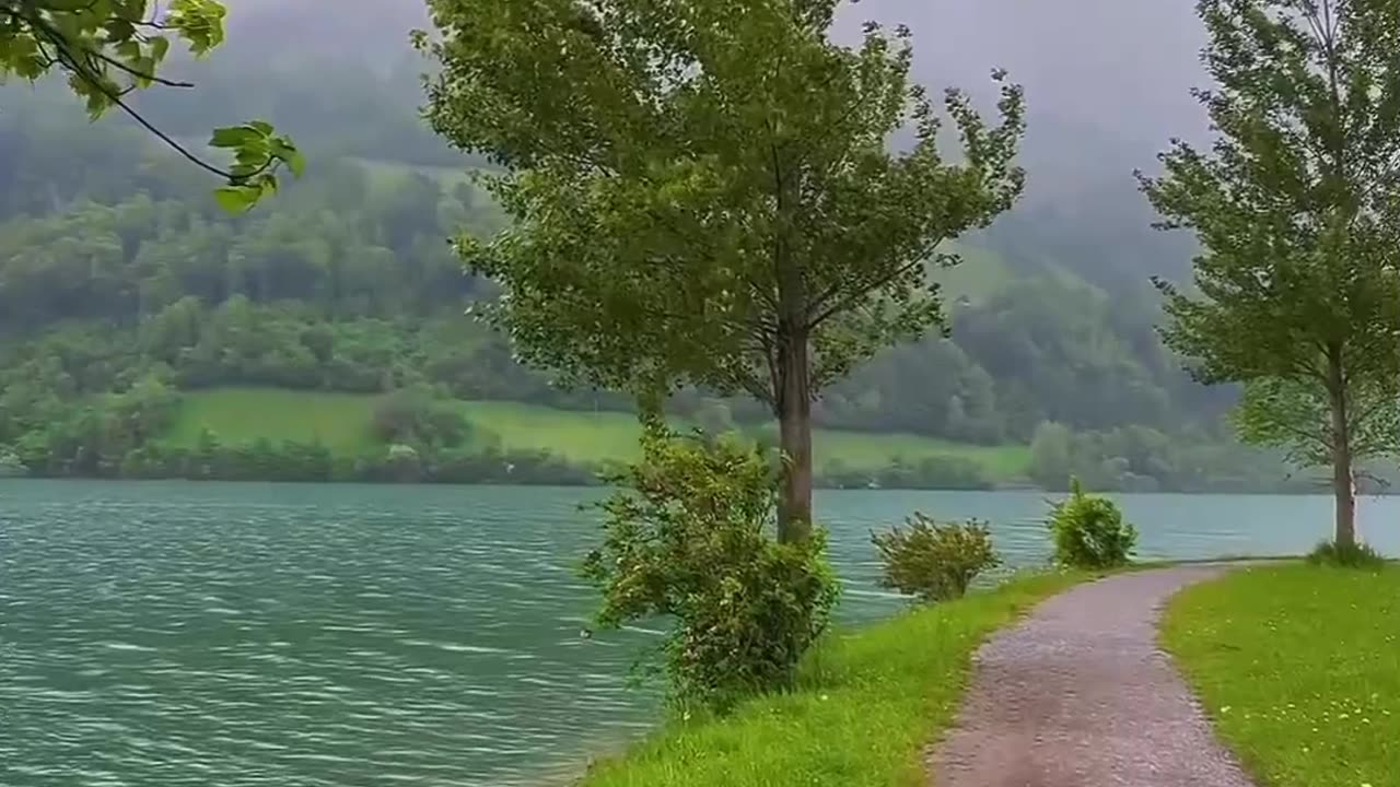 Nature
