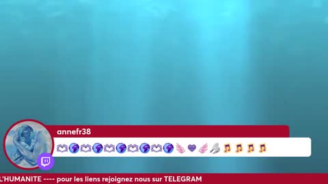 ApéroLive avec Vous les Zzz'Amis 6/12 Les Zzz'Infos Bonheur de Leelou