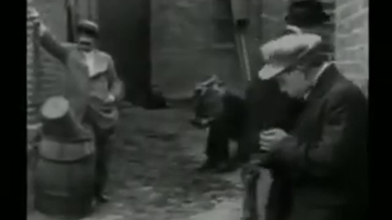 Funny Video