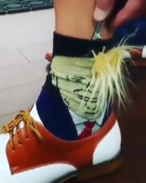 Trump socks