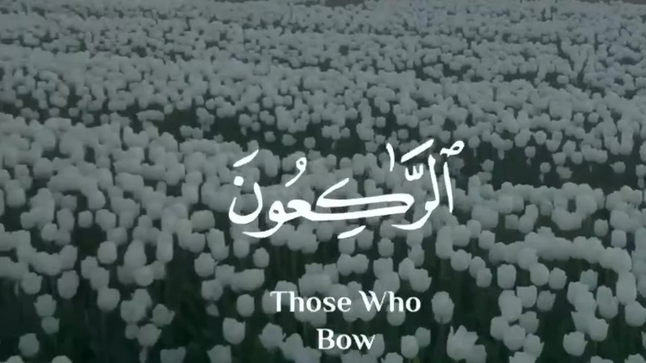 { [سُورَةُ التَّوۡبَةِ: ١١٢]