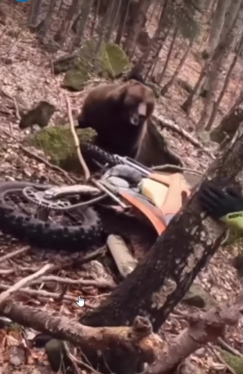 Dirt Rider Pisses of Grizzly