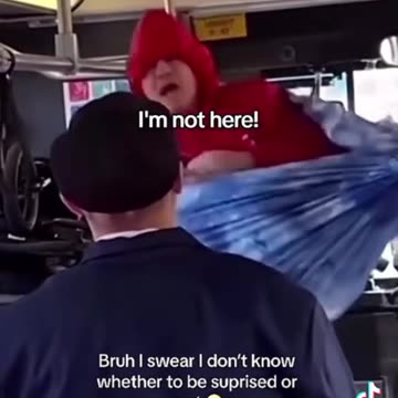 In a hammock on the bus! Funny