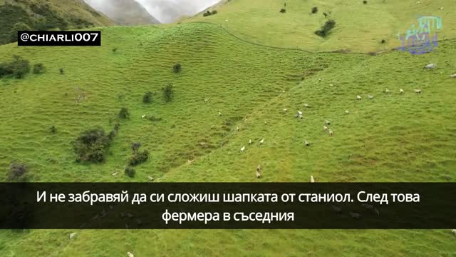 История за фермата