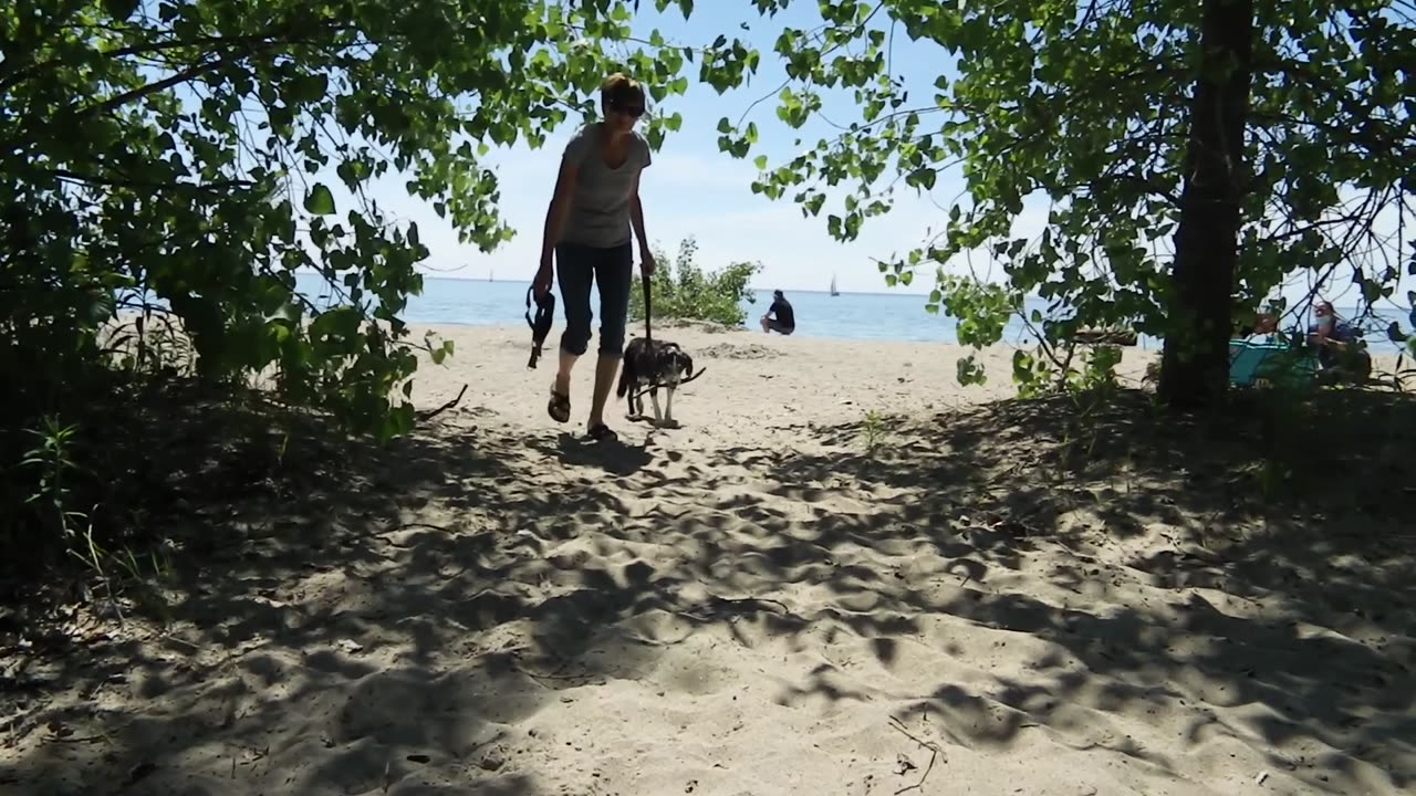LUKE'S INCREDIBLE BEACH ADVENTURE
