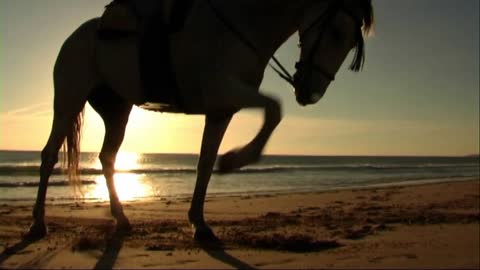 Woman on horse at seashore