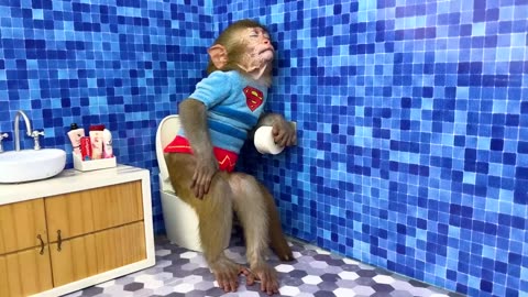 Monkey Baby Bon Bon oes to the toilet and plays with Ducklings in the swimming 5 5