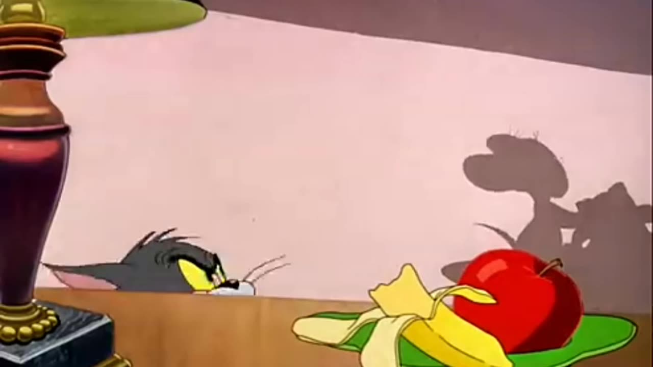 War of Tom and Jerry