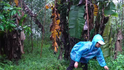 complete great shelter tent in the rain in forest-12