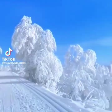 Now That's a Cool Scene