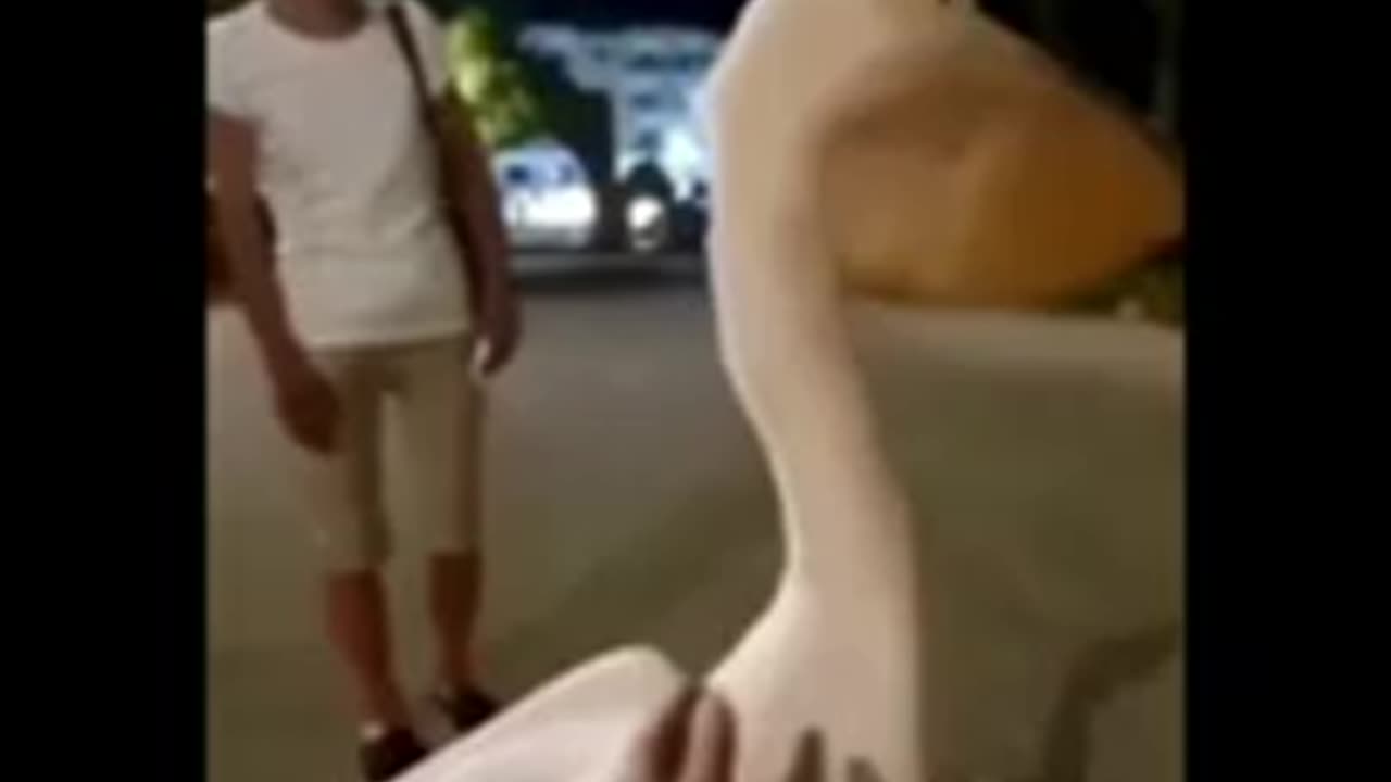 Why Always Low Quality Videos 🤣🤣🤣
