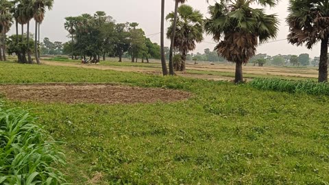 My village