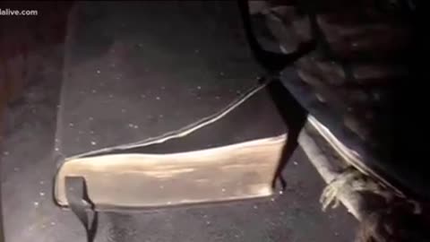 The Bible's are Safe