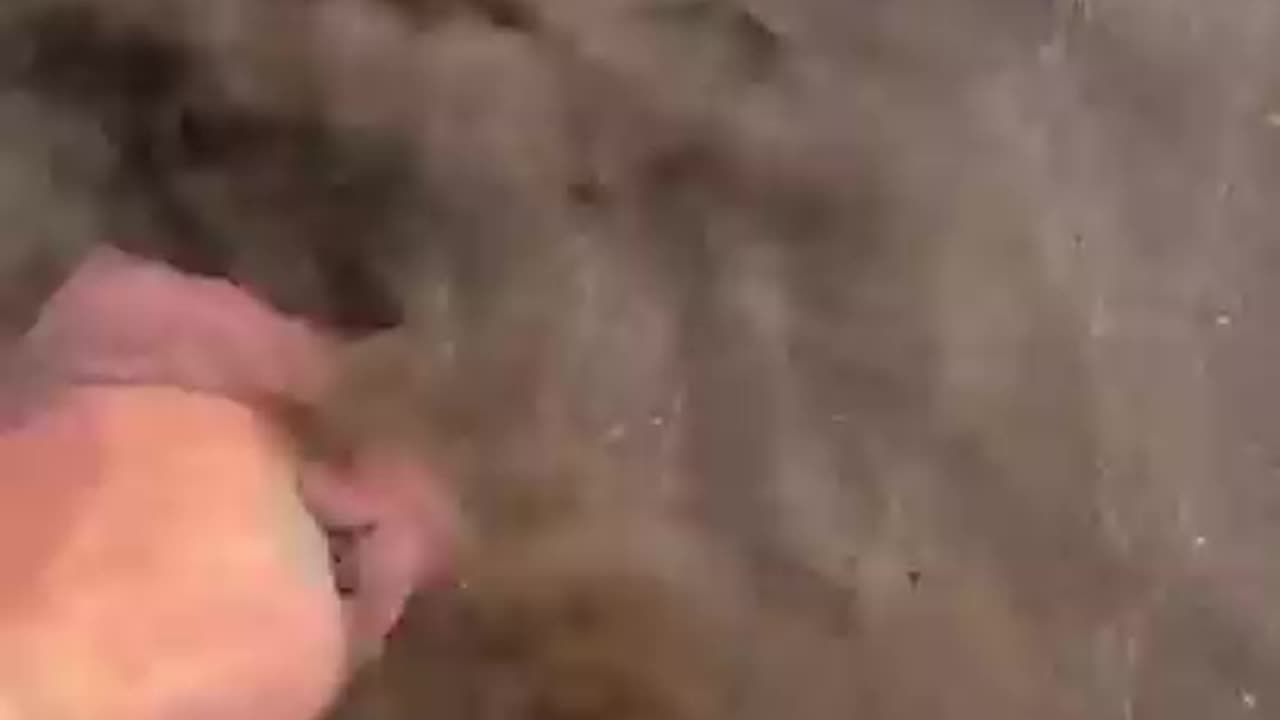 Watch Your Step